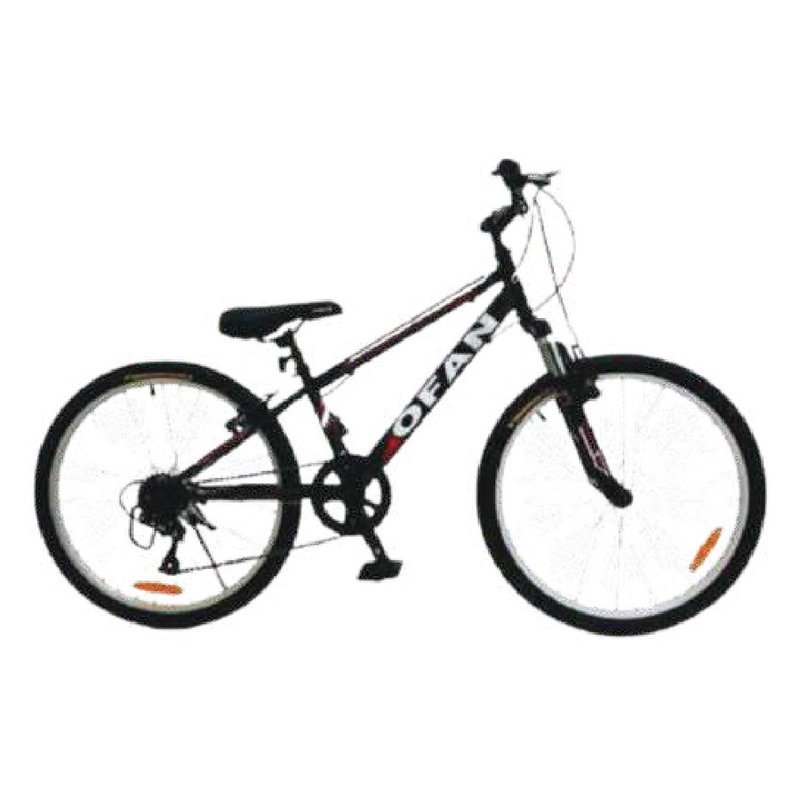 אופני הרים רגיל 24"